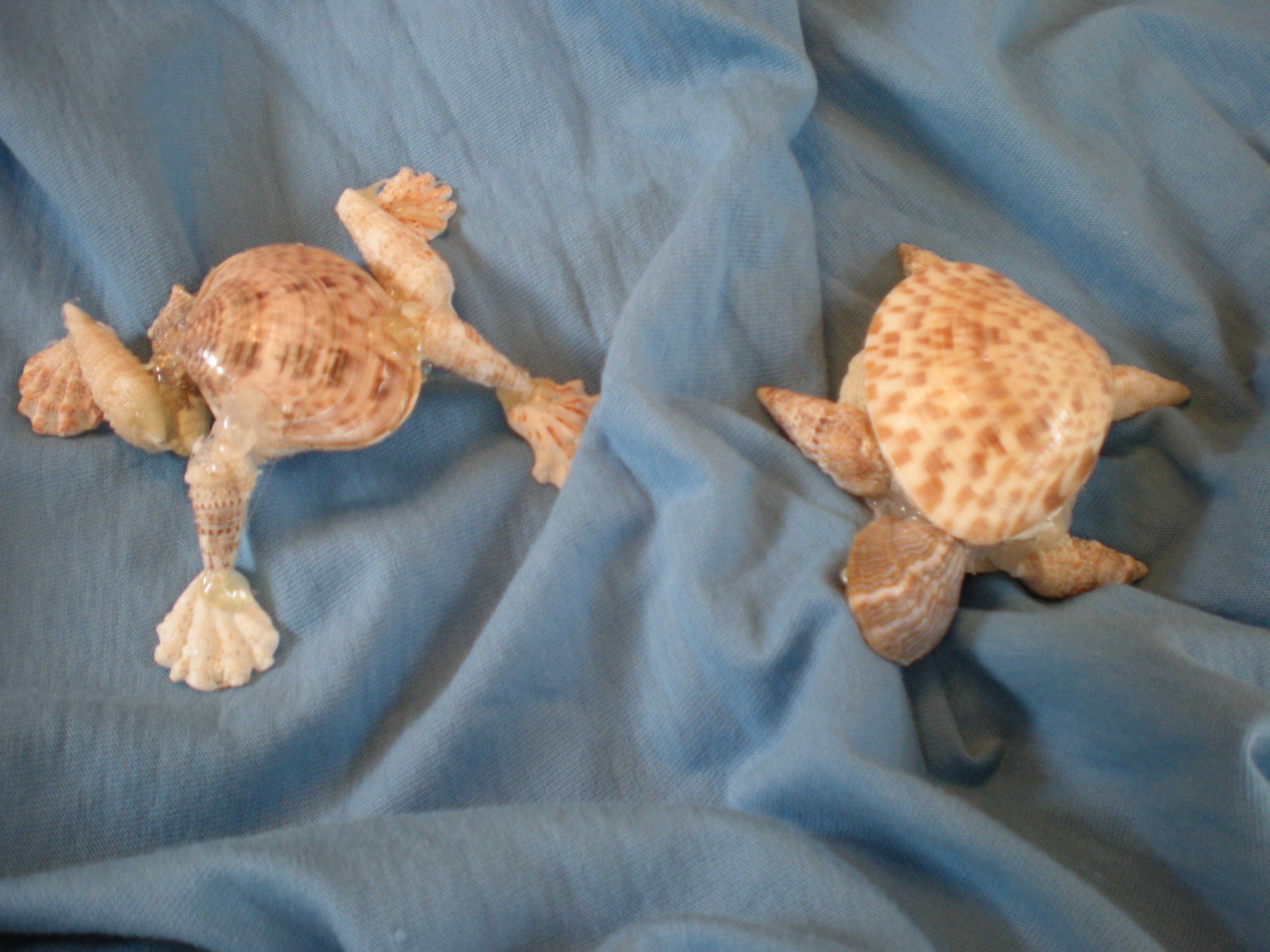 DSCN6502.JPG