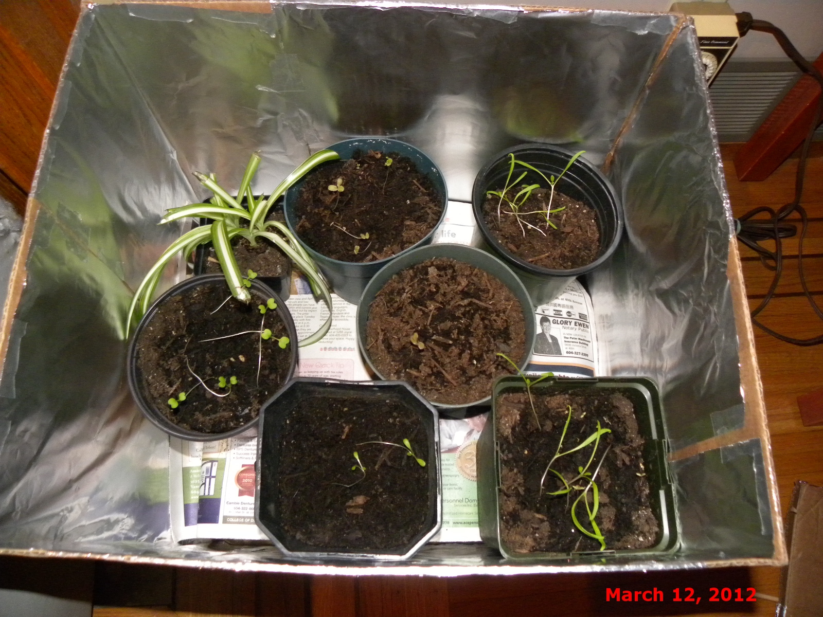 DSCN8387.JPG