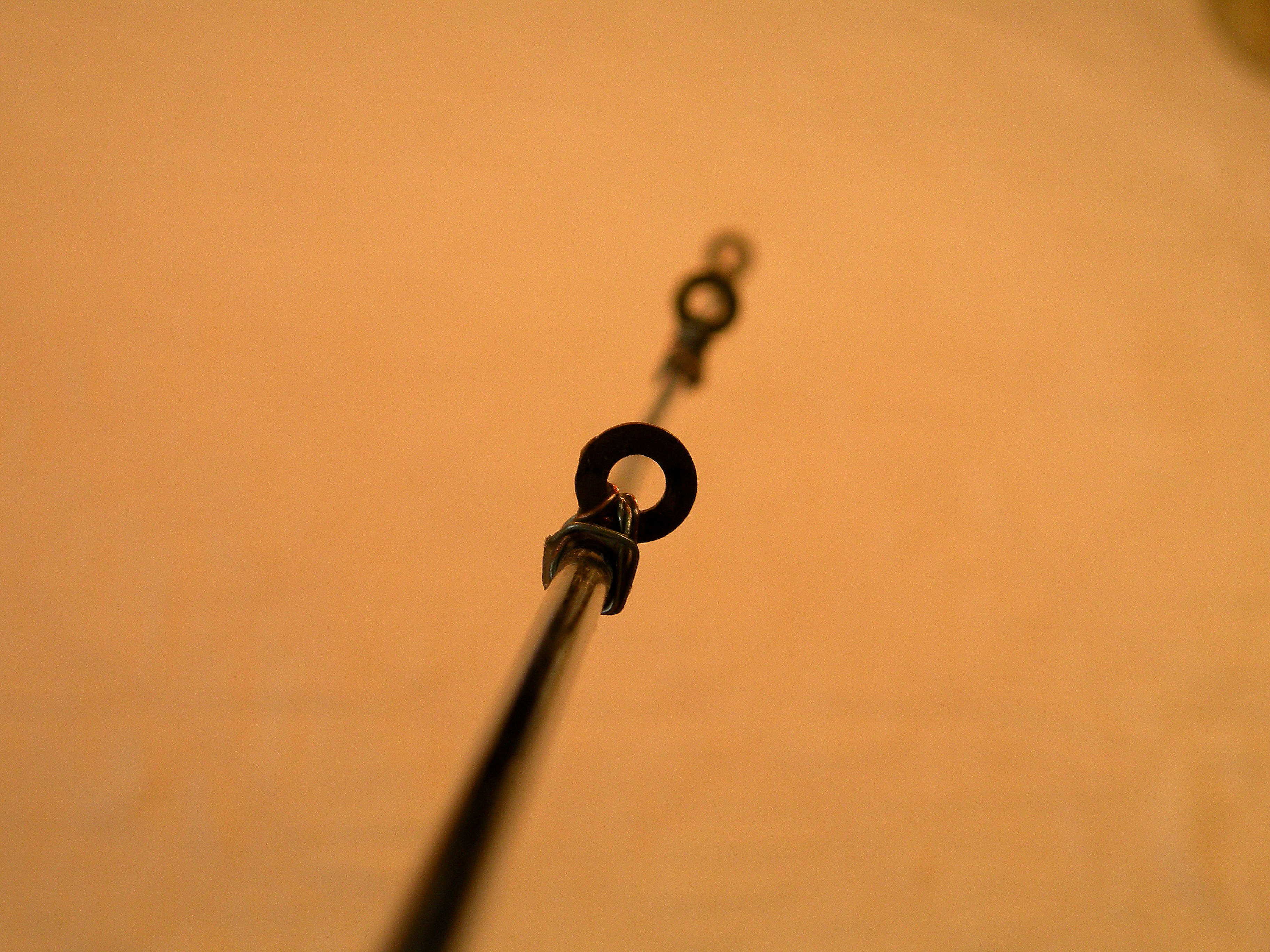 DSCN9782.jpg