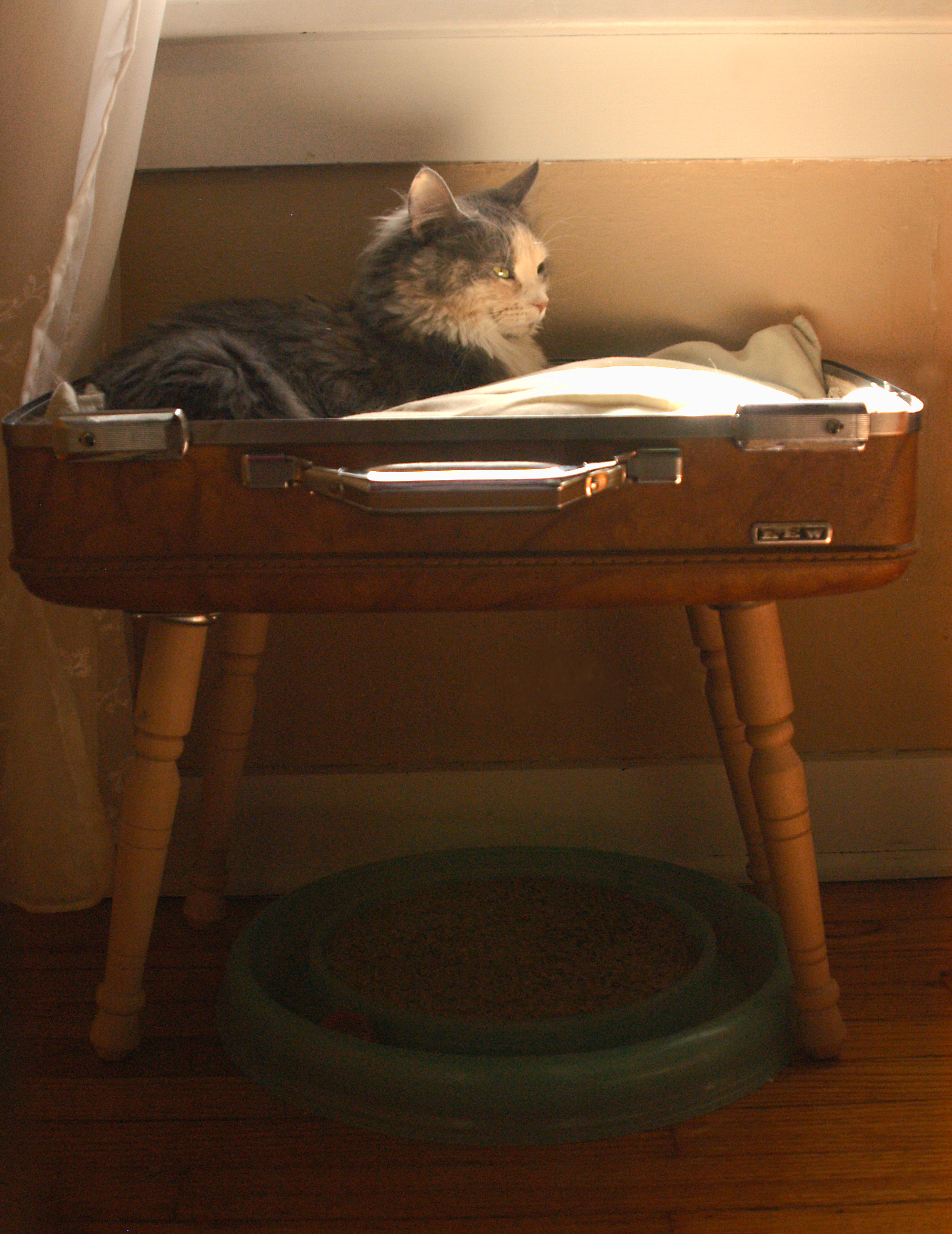 DSC_0057.JPG