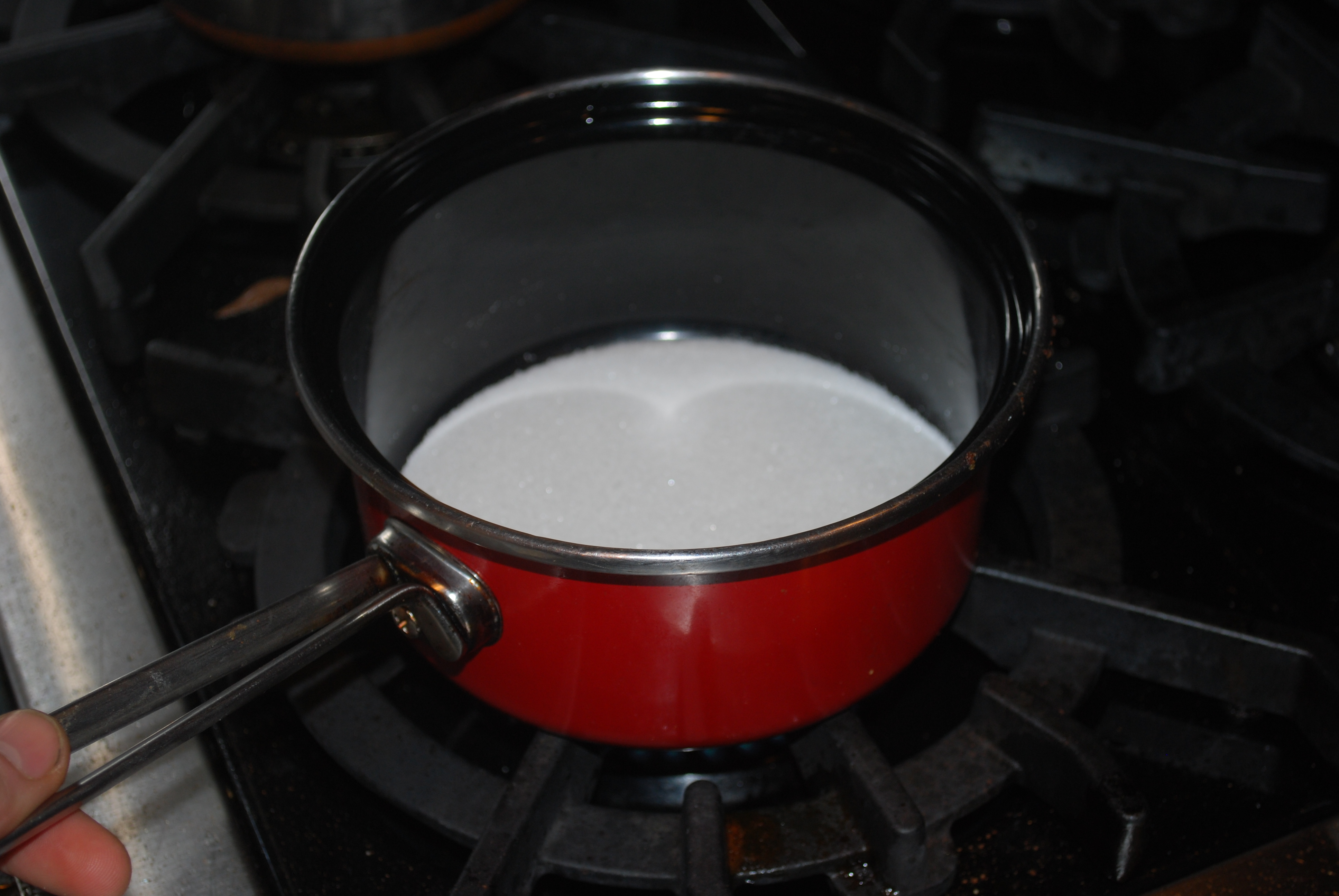 DSC_0075.JPG