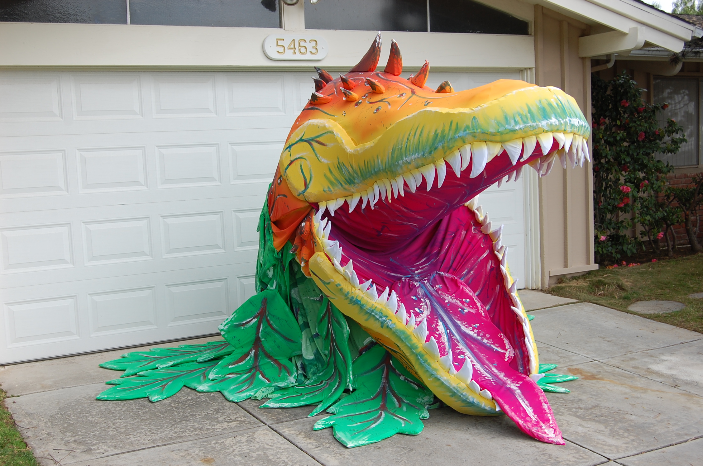 DSC_0111.JPG