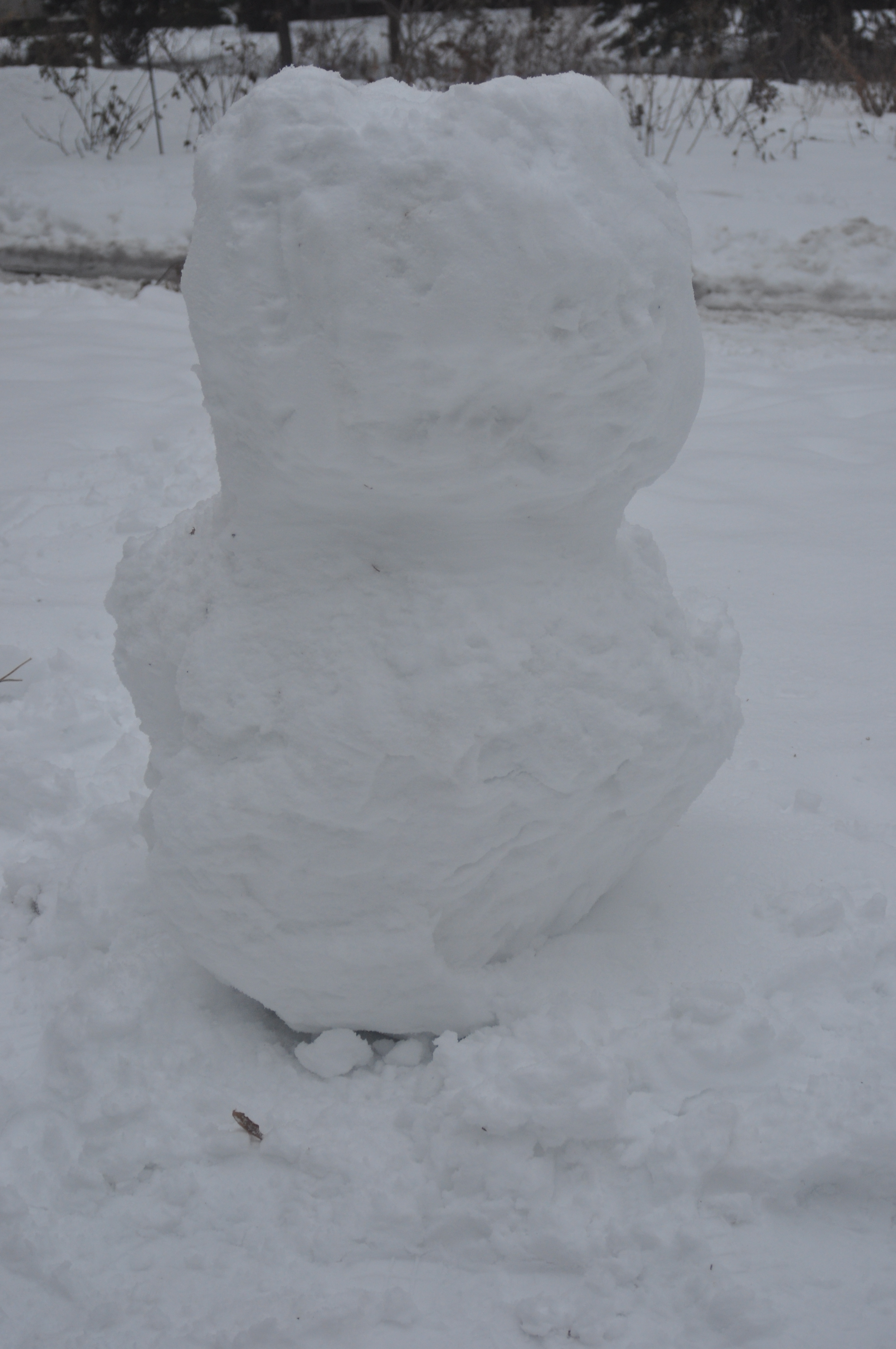 DSC_0226.JPG