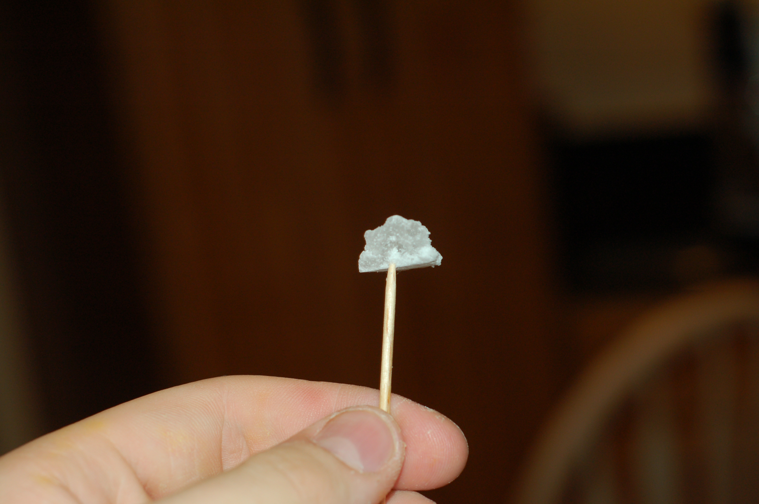 DSC_0441.JPG