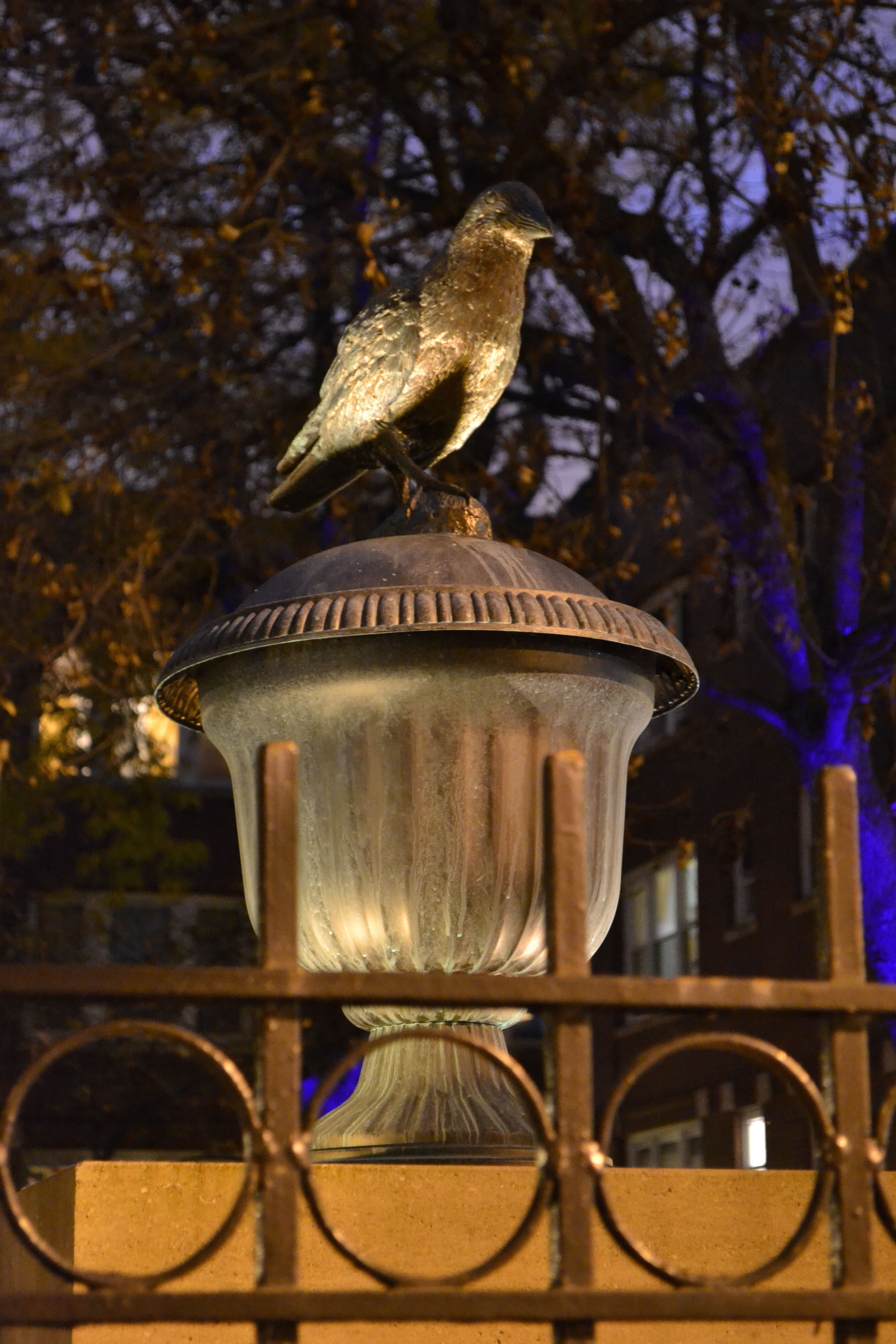 DSC_0581.jpg