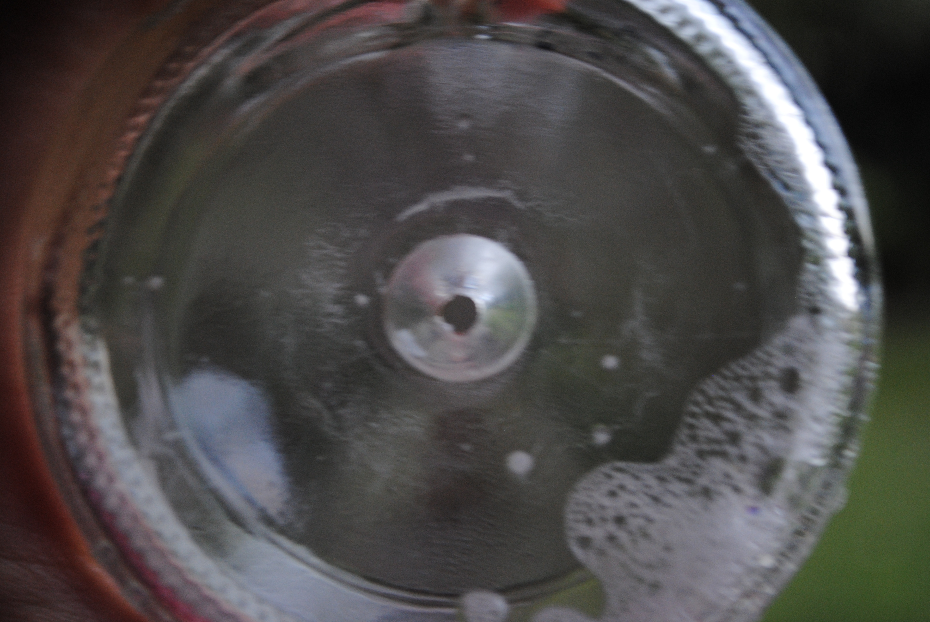 DSC_0643.JPG