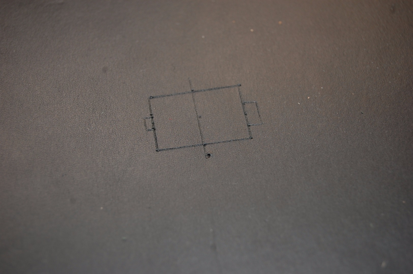 DSC_4955.JPG