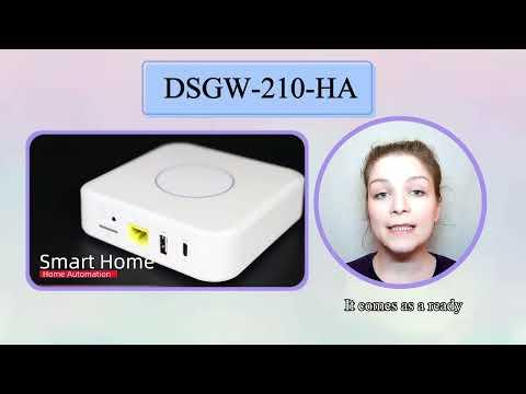 DSGW-210-HA IoT Gateway Quick Look