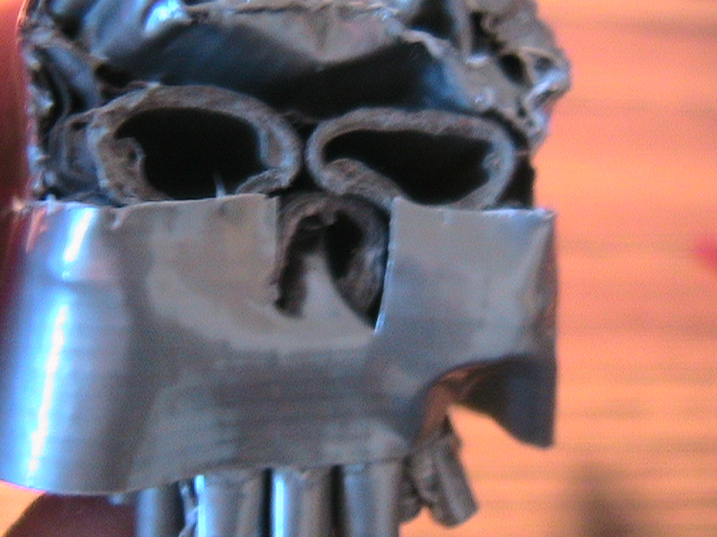 DT Skull 087.jpg