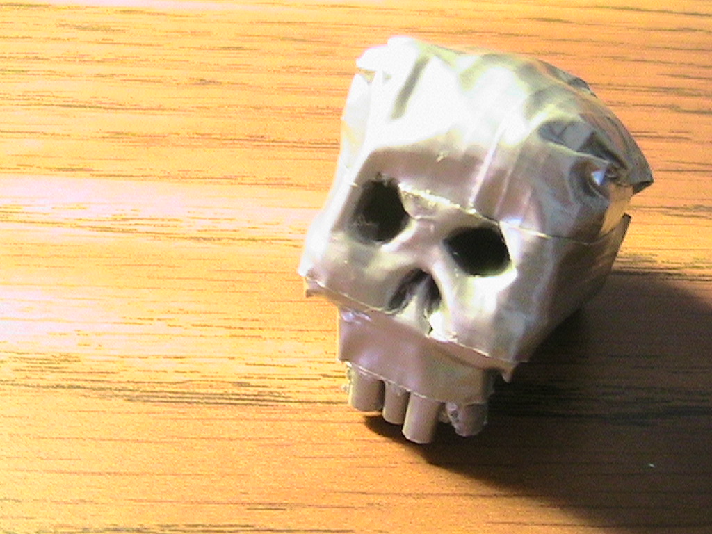 DT Skull 102.jpg