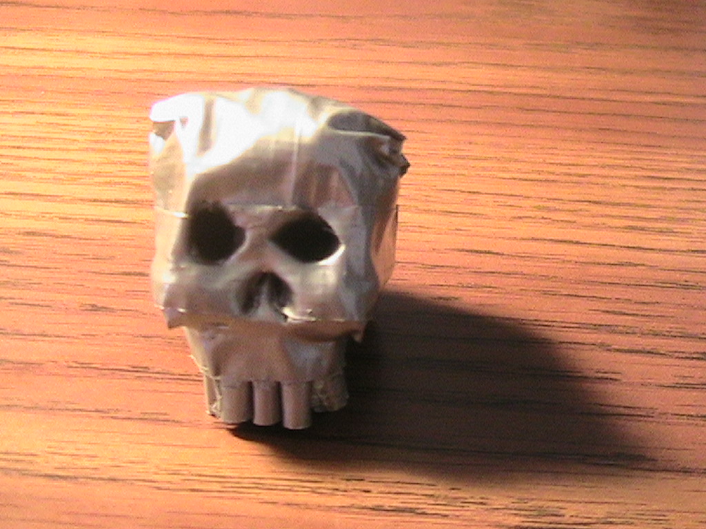 DT Skull 106.jpg