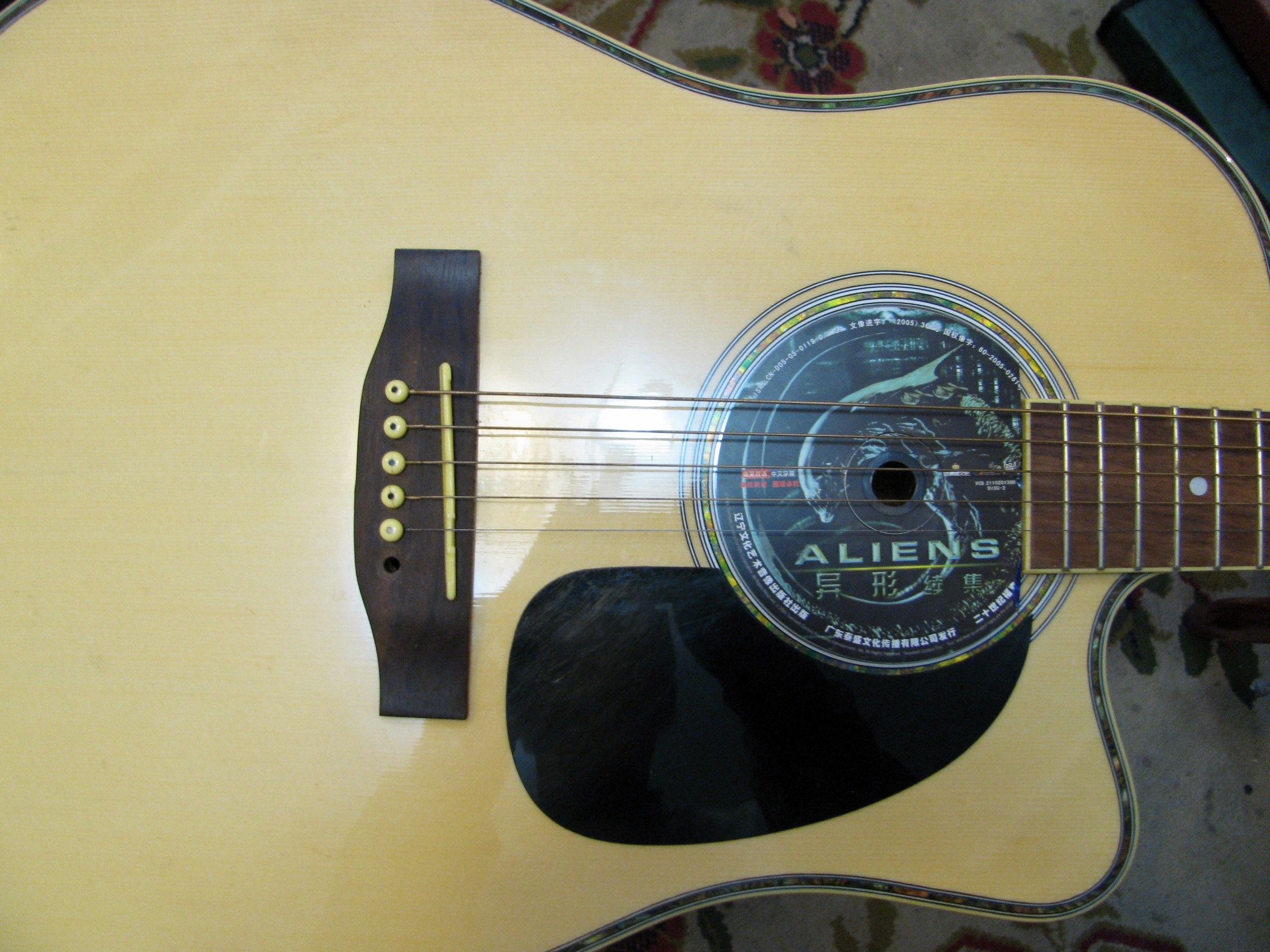 DVD Guitar Hole Cover 3.JPG