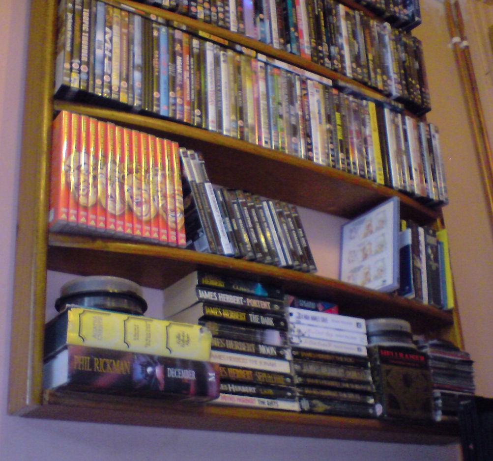 DVD Shelves 2.jpg