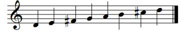 D_major1.jpg