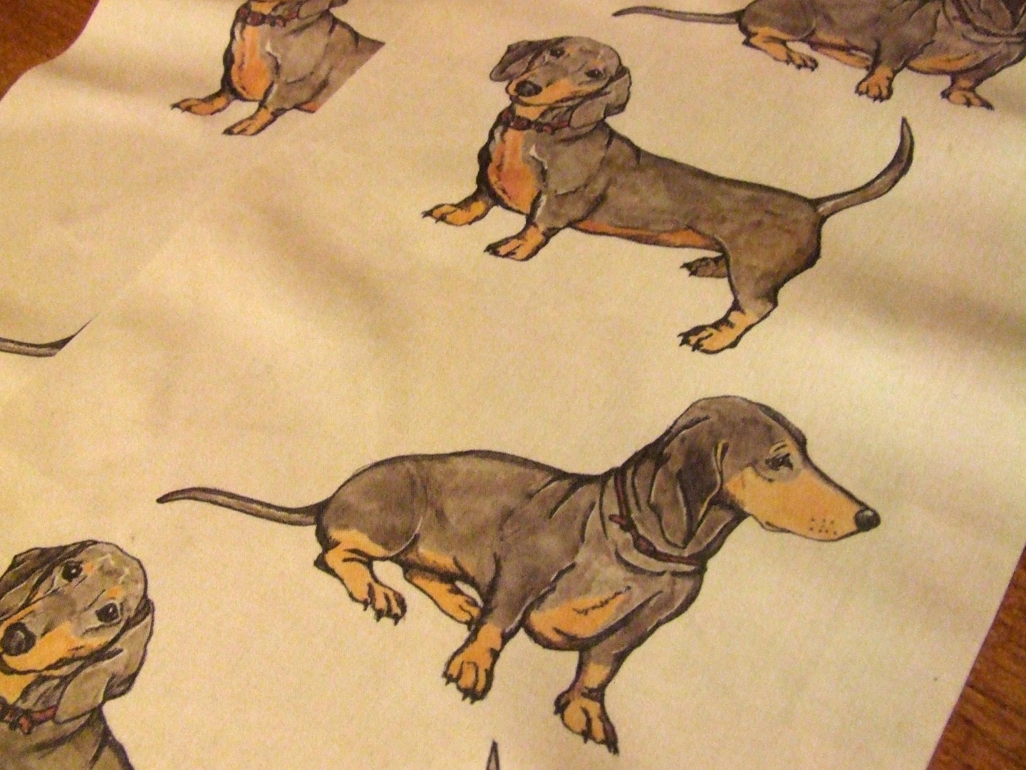 Dachsies printed.jpg