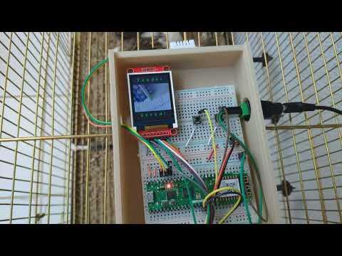 Data collection | IoT AI-driven Poultry Feeder and Unhatched Egg Tracker w/ WhatsApp