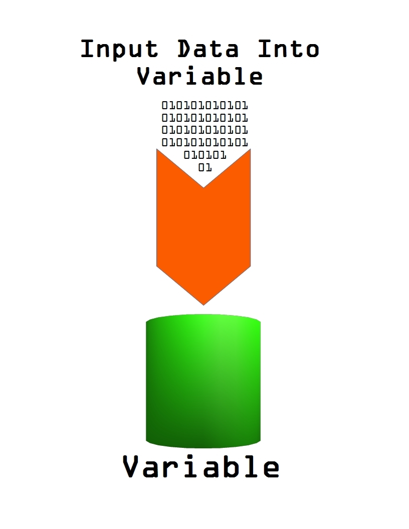 Data-Input-Into-Variable.jpg