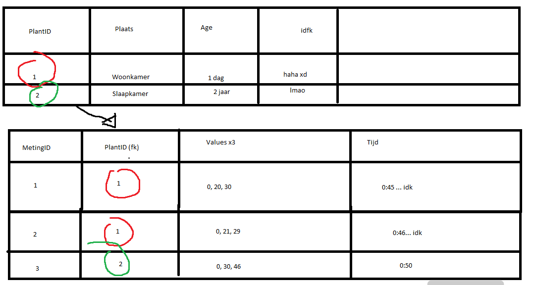 DatabaseProject.png