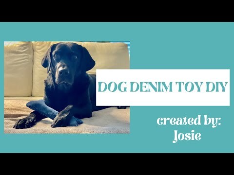 Denim Dog Toy Instructable