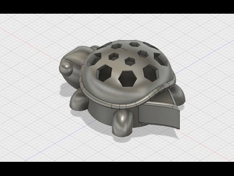 Design a Turtle Shell in Fusion 360