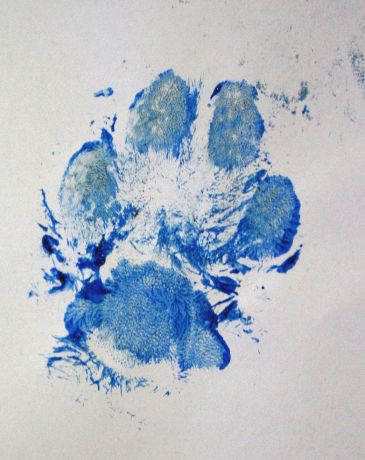 Detail of Paw Print two.PNG