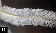 DetailWork_feathers_8.jpg