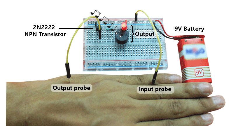 Device-in-action.jpg