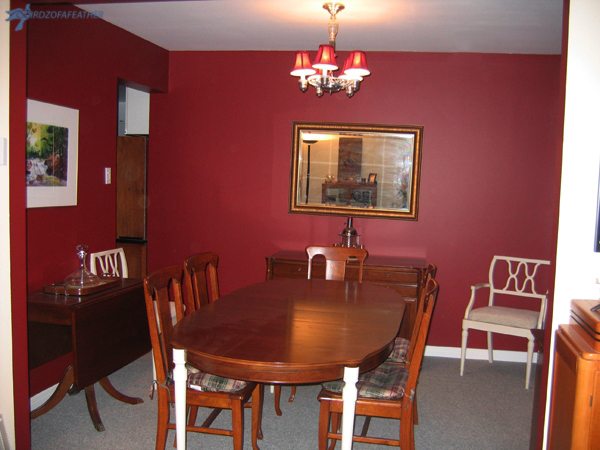 Dining Room_before_bof.jpg