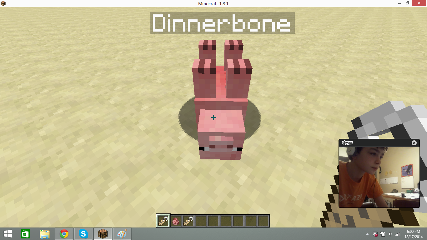 Dinnerbone.png