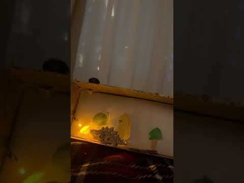 Dinosaur night lamp