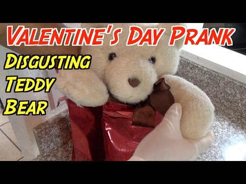 Disgusting Teddy Bear Guts Prank- Valentine's Day Pranks