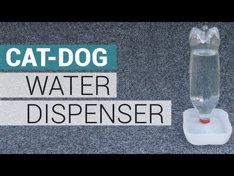 Distributeur d'eau pour chat et chien - Fontaine &amp;agrave; eau animaux - DIY - Recycler vos bouteilles