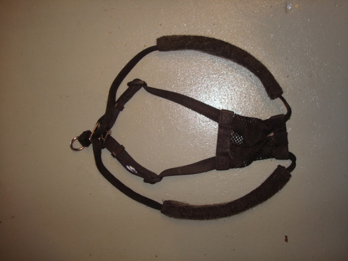 Dog Harness.jpg