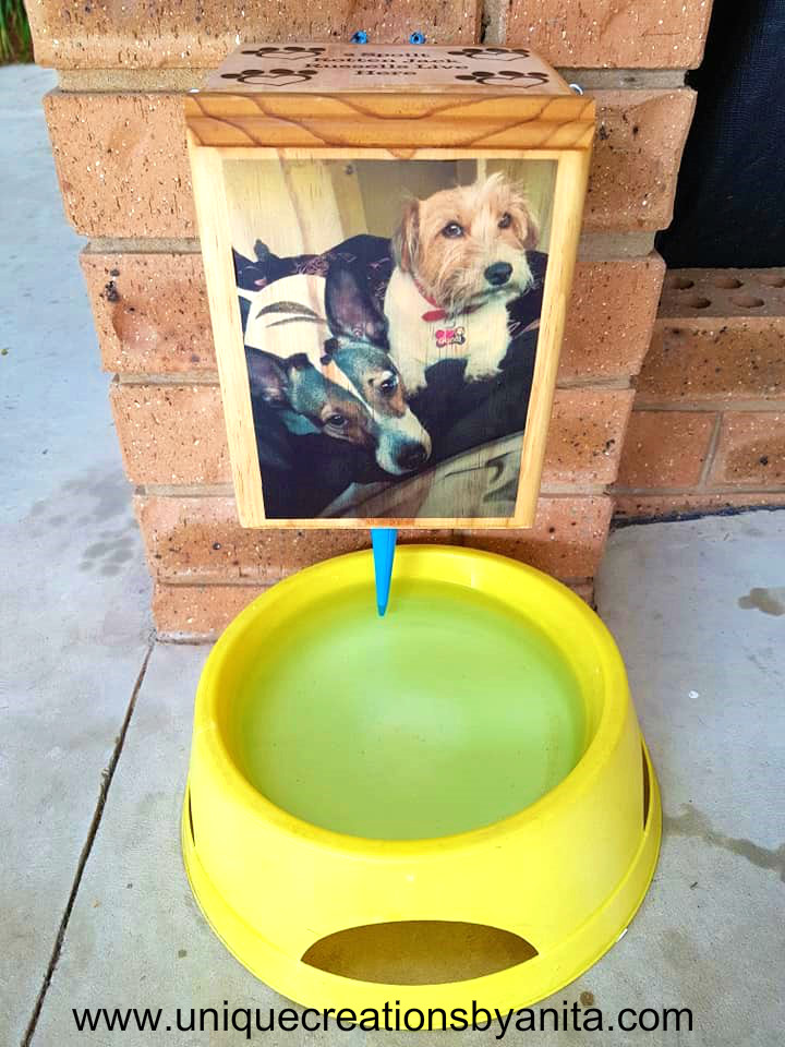 Dog automatic water feeder.jpg