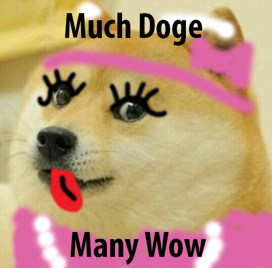 Doge LAdy.jpg