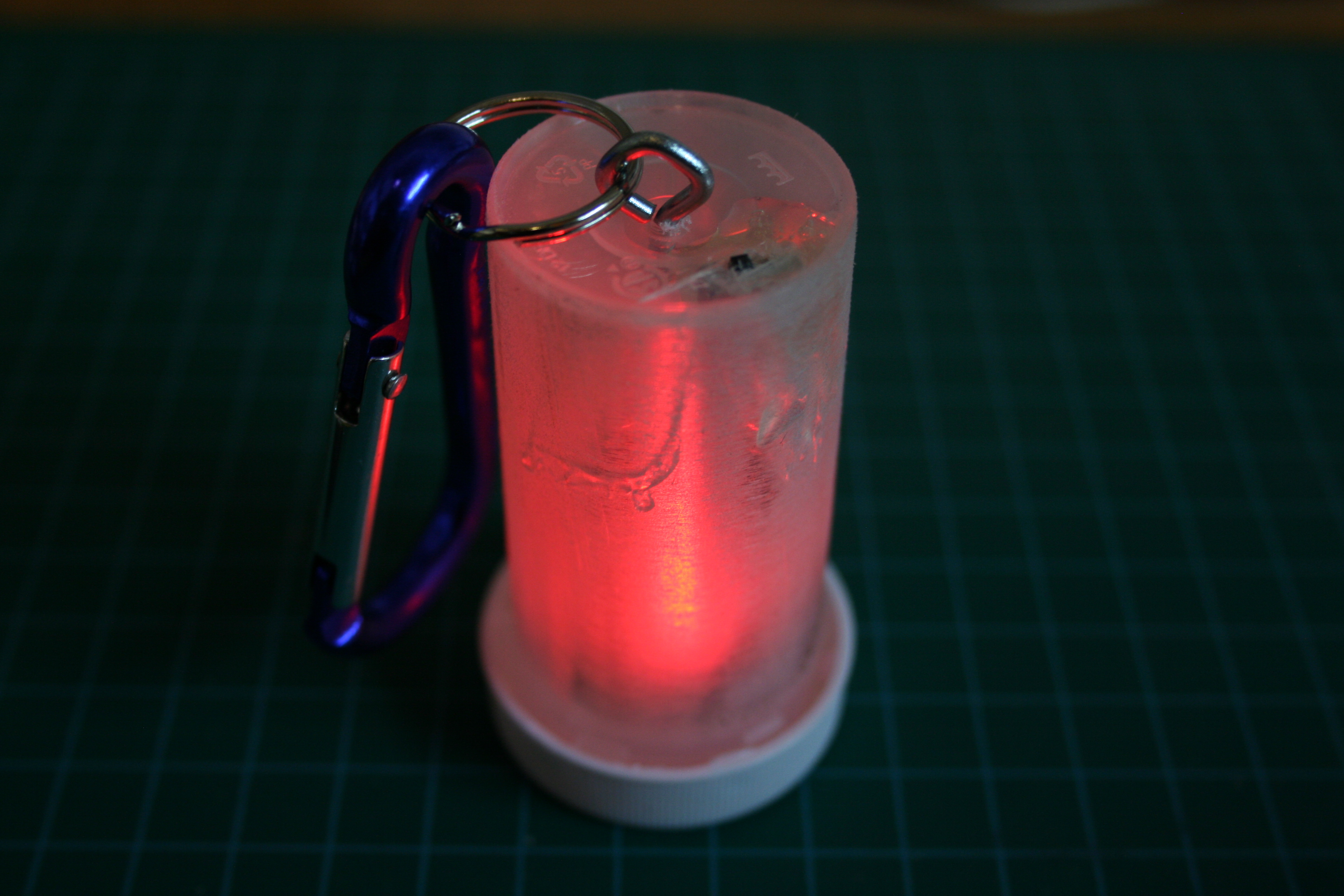 Doggie Dongle 042.JPG