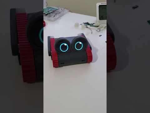 Doly robot voice interact test