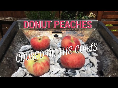 Donut Peaches - Cooked on the coals