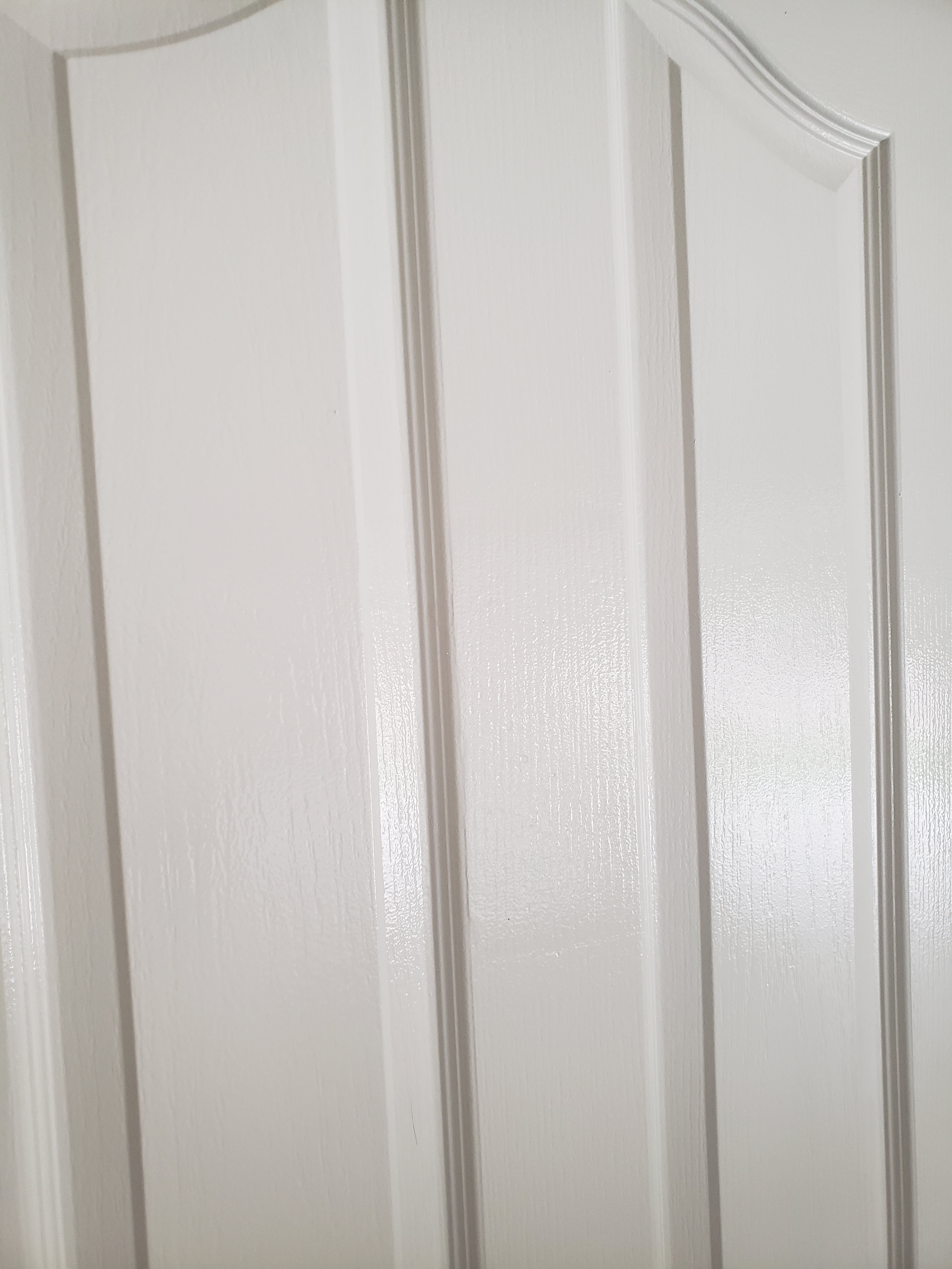 DoorAfterFinalPaint.jpg