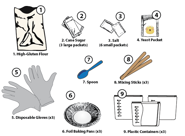 DoughLab_Materials@2x.png