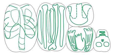 DrawnPumpkins.jpg