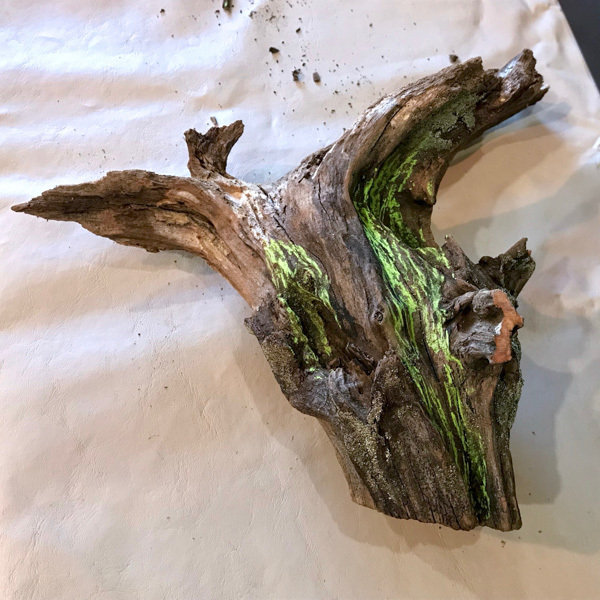 Driftwood Planter step 2.jpg