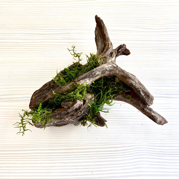 Driftwood Planter step 4b.jpg