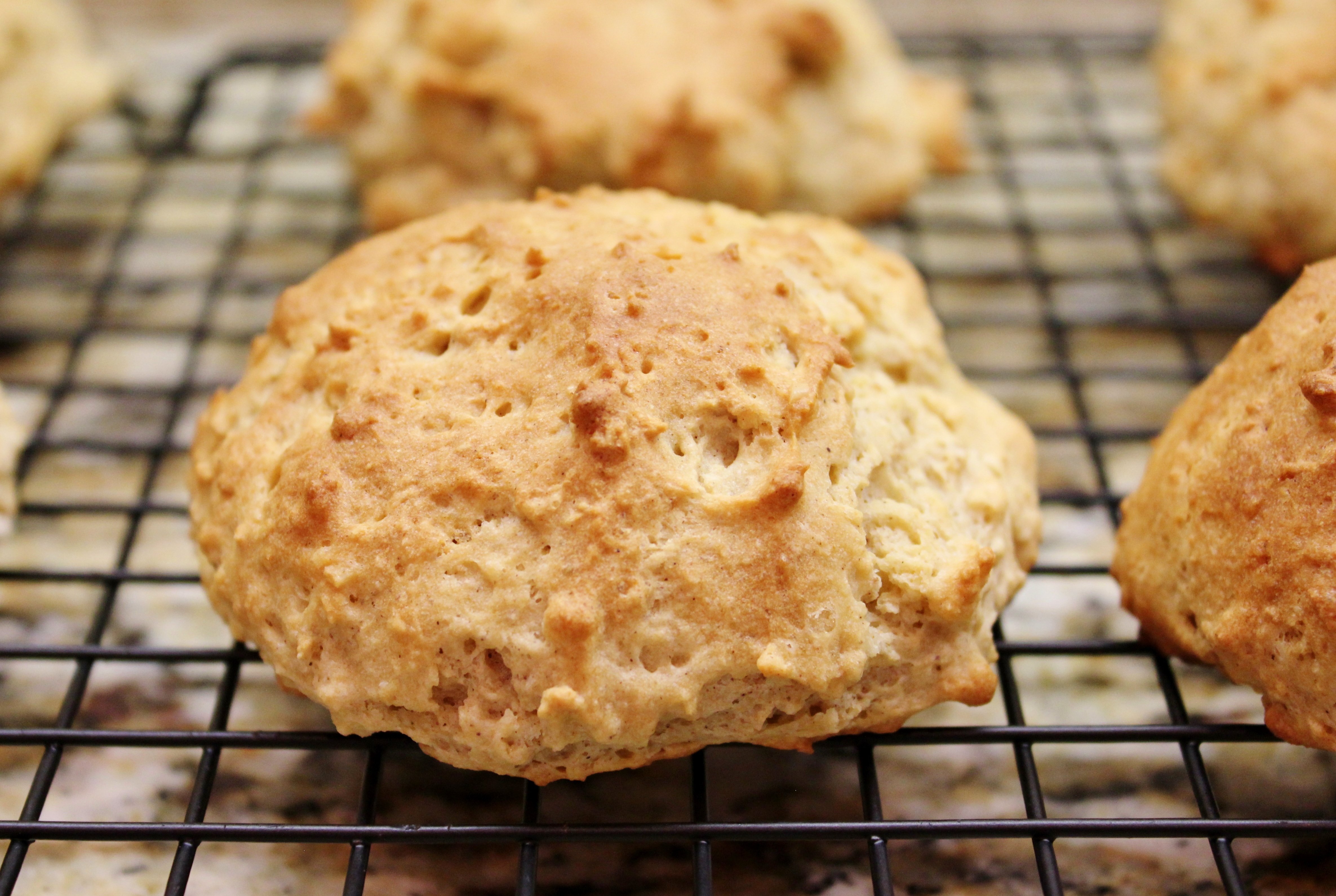 Drop Biscuit (7).JPG