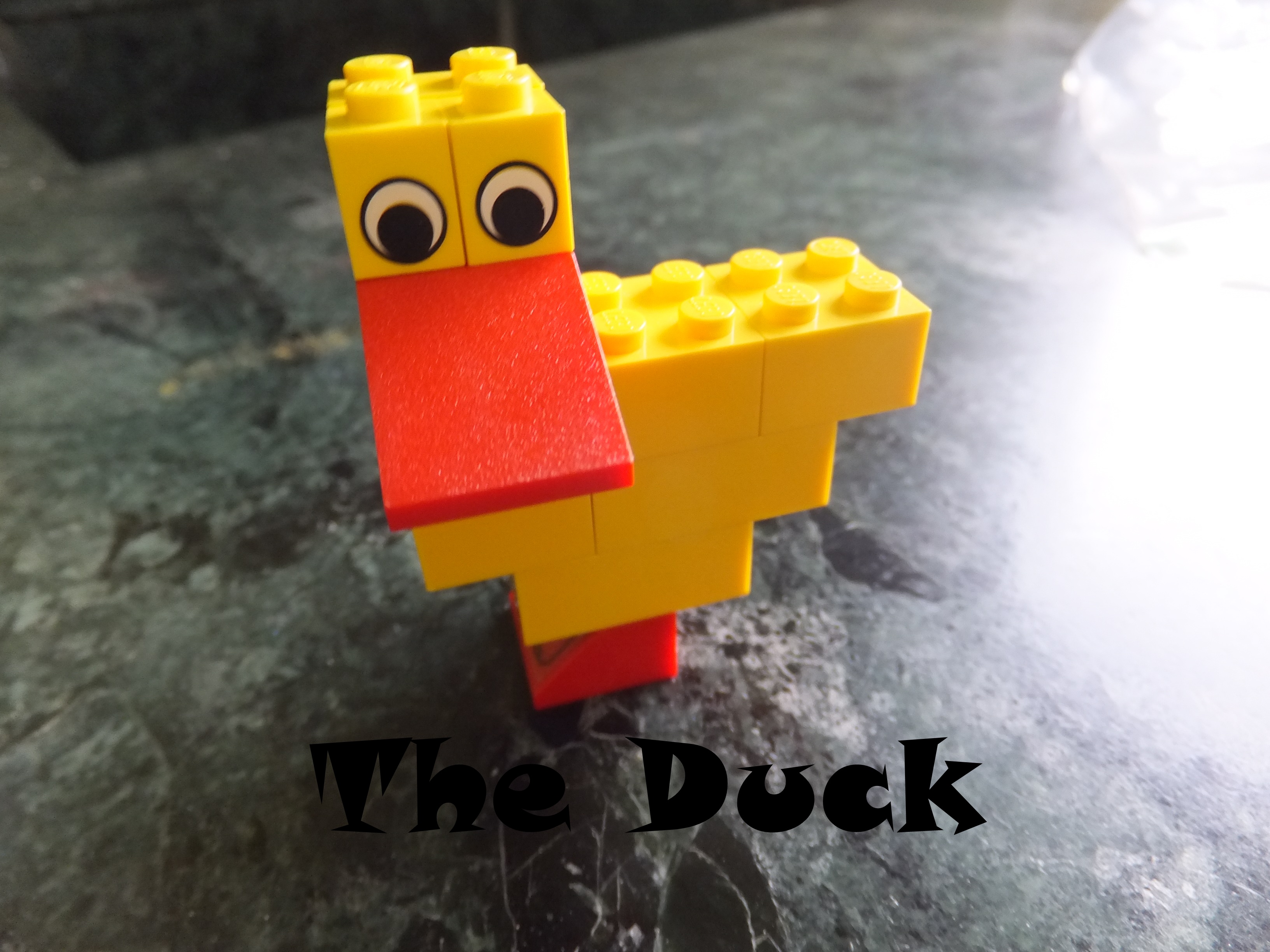 Duck Cover.JPG