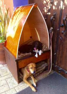 Duplex doghouse.jpg