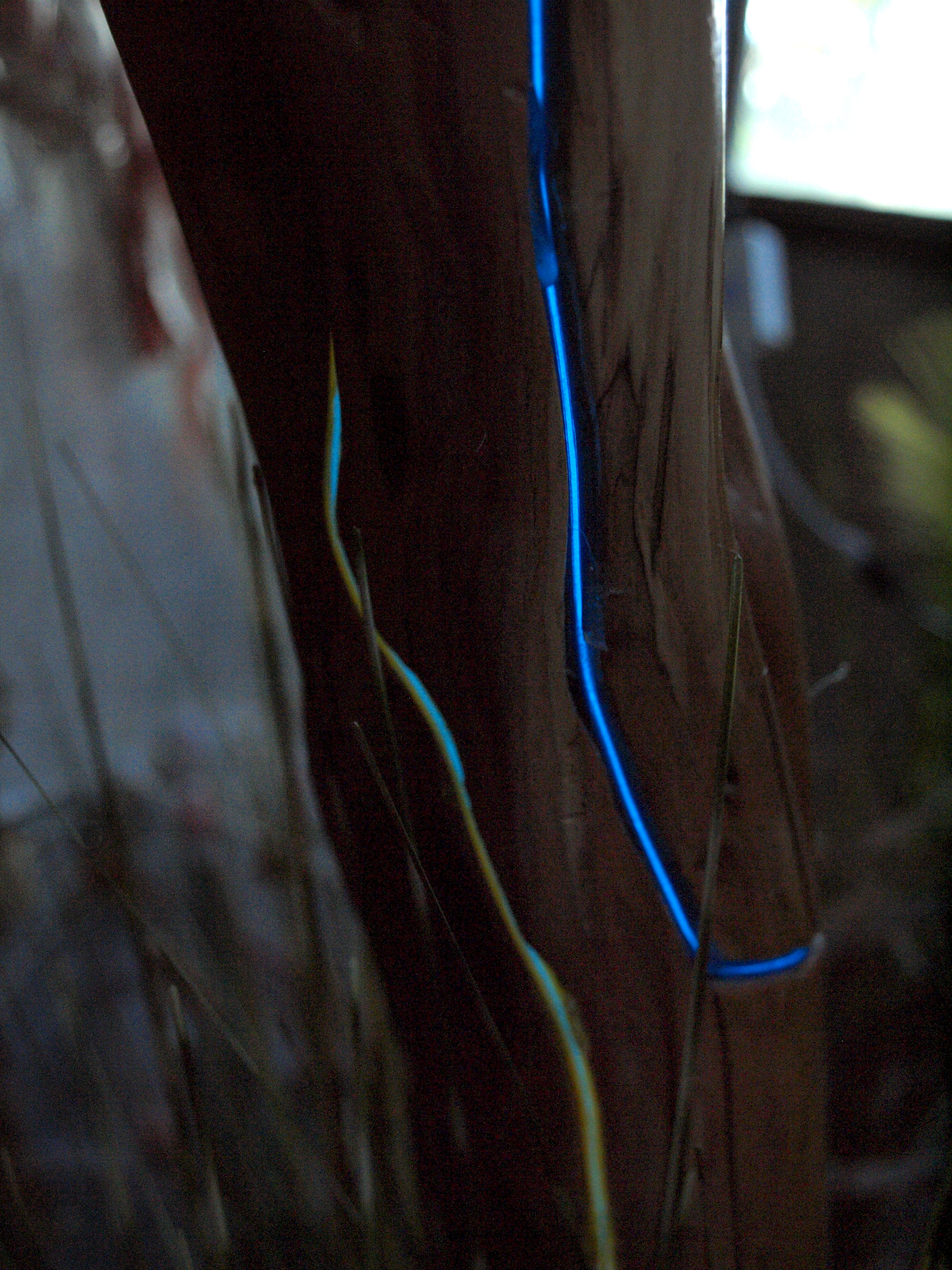 ELwire9C.jpg