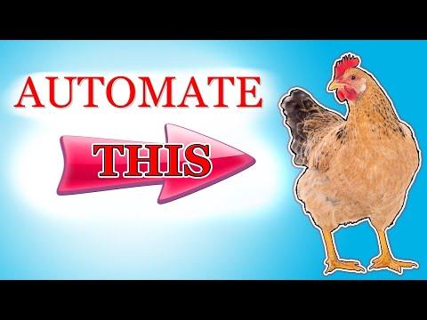 EZ-Mode Chicken Life | Automation for Chicken food, water, and their door!