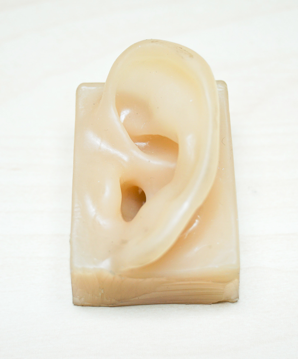 Ear 1b.jpg