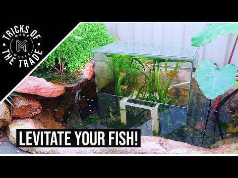 Easy DIY Fish Tower! // Inverted Fish Tank Project